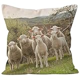 CEVAN Leinen Kissenbezüge Baumwolle Kissenbezug Vintage Shabby Schaf Kissenbezüge Set Kissenbezug Sofa Kissenbezüge Sofa Dekor 40x40cm,1Pcs