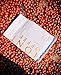 Mont Coffee - Geisha Coffee Ecuador, Whole Bean, Fresh Rosted, Premium Ecuadorian Specialty Geisha Roasted Coffee Beans | Awarded 88+ (12oz, Unflavored)