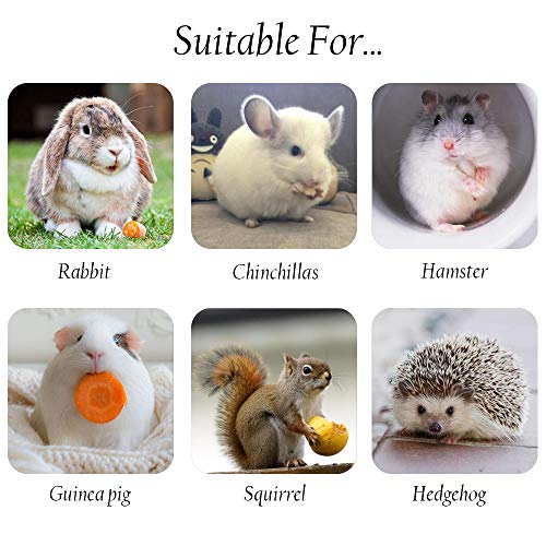 Heatoe 1 Ib Pet Molar Sweet Bamboo Snacks, Pet Chewing Toys Molar Sticks for Rabbits & Chinchillas & Guinea Pigs… - Image 4