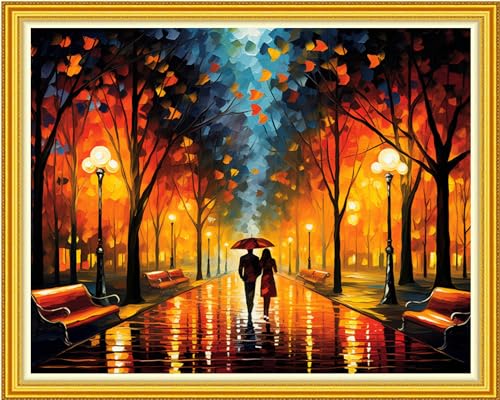 Image of DMCVIVR Stamped Cross Stitch Kits for Beginners Adults Needlepoint Kits for Beginners Embroidery Kits for Adults Crossstitch Kit for Beginners 11CT-Romantic Night Scenery 16x20 inch