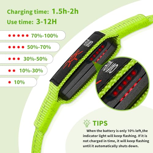 Light Up Dog Collars - Image 2