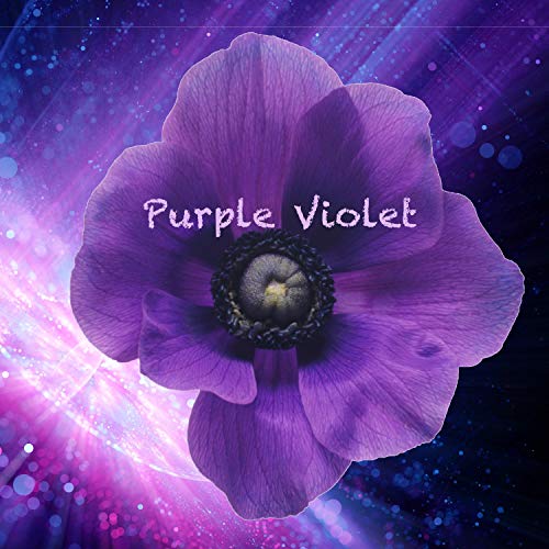 Purple Violet