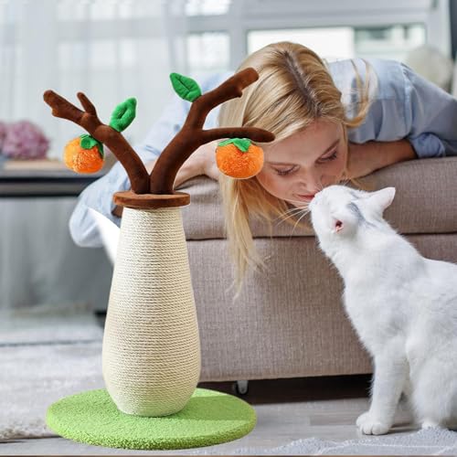 Arbre à chat de 55,9 cm pour chaton avec griffoir de jeu intégré