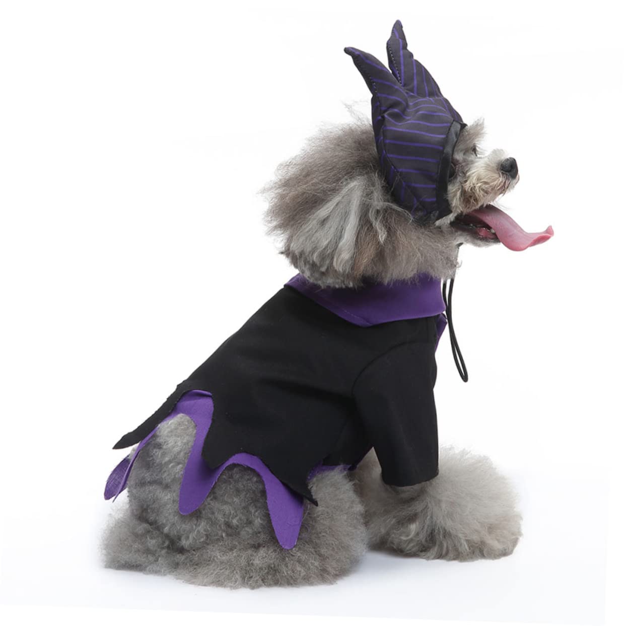 Mipcase 2sets Costume Per Cani Con Elementi Da Strega Abbigliamento Cosplay Per Feste Di Halloween Veste Divertente e Unica Per Cani e Gatti Materiale Traspirante e Confortevole