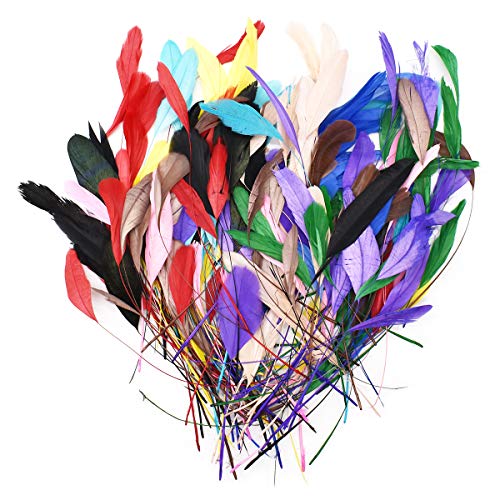 Plumas de Colores Manualidades, Jicyor 200pcs Natural Plumas Artesanía Para Atrapasueños para Hogar Bodas Fiestas Decoración Bricolaje(13 colores) Cover