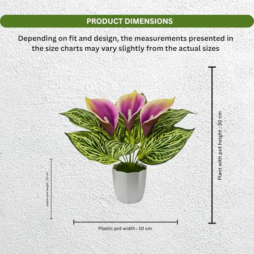 Image of fancymart Artificial Calla Lily Plant with Pot - 30 cm Height Decorative Flower Leaves (Pack of 1) | Realistic Faux Plant for Home & Office Decor | Table, Shelf & Desk Decoration