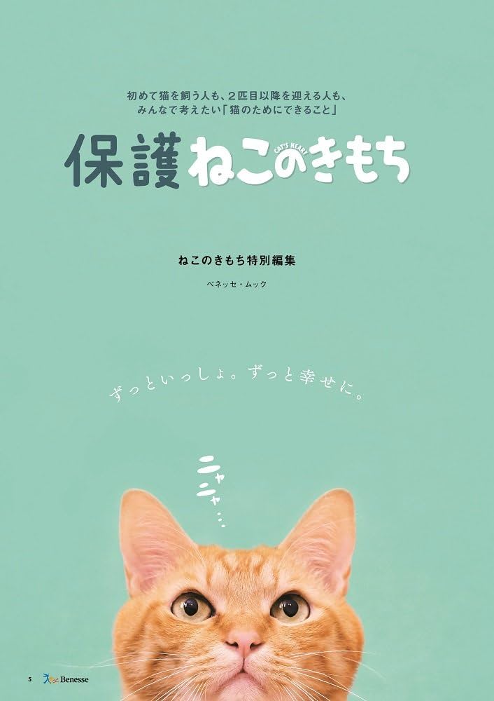 ねこのきもち 62冊 保護ねこのきもち (ベネッセ・ムック ねこのきもちブックス