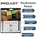 PRO Art Square Artist Pastel Set, 24 Portrait Colors (3096)