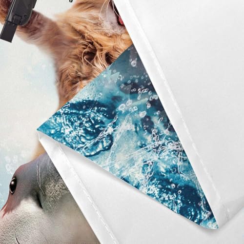 Image of Cat Shower Curtains for Bathroom, Funny Brown Cat Riding Shark Blue Ocean Theme Shower Curtain Set for Men Boys, Cute Cute Cool Blue Bath Curtain Sets with Hooks for Kids Room Decor