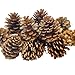 Pinecones