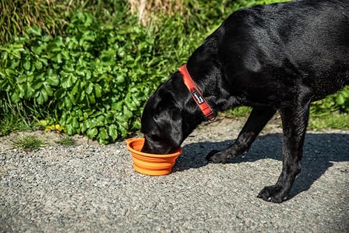 Mountain Paws Silicone Collapsible Dog Bowl With Attachment Loop, Orange, 0.9L - Image 3