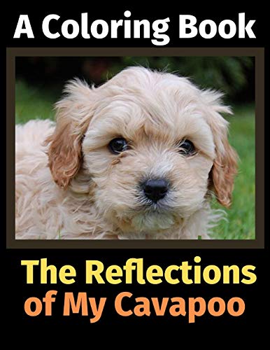 The reflections of my cavapoo: a coloring book