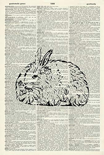 Angora Rabbit Art Print – Rabbit Illustration – Bunny Artwork – Nursery ...