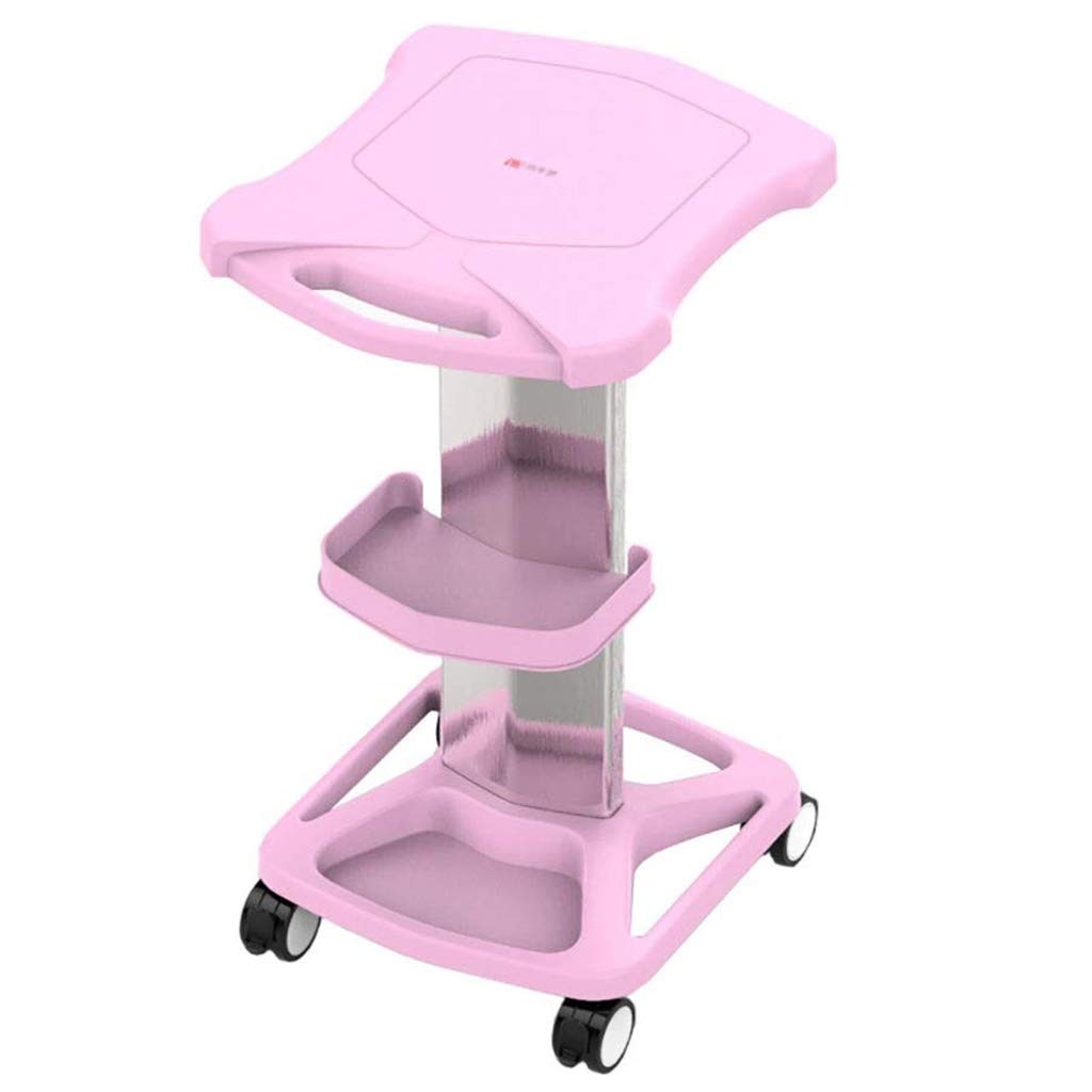 Carro de Belleza, Carro con Ruedas para Salón, Soporte para Carro, Bandeja para Instrumentos de Belleza, Bloqueo de 360 ​​°, Carga Máxima 50kg