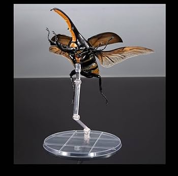 Amazon | いきもの大図鑑プレミアム ヘラクレスオオカブト ヘラクレス Amazon | いきもの大図鑑プレミアム ヘラクレスオオカブト ヘラクレス