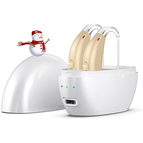 Hearing Aids for Seniors,Rechargeable Hearing Amplifier with Noise Cancelling,Adjustable Volume Control,One Pair Hearing Assist Devices with Charging Box