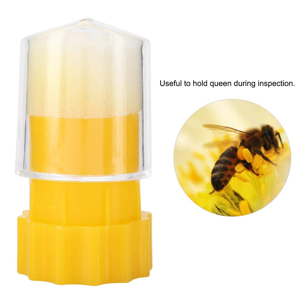 Kit de marqueurs de reine en plastique, marqueur de reine des abeilles