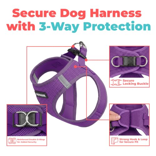 Image of Voyager Step-in Air Dog Vest Harness - Purple, X-Large