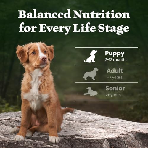 Blue Buffalo Wilderness Lamb & Wholesome Grains Puppy Dry Dog Food, 4.5 lb - image 8