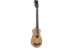 Johnson JG-JR3 Washburn Parlor Acoustic Guitar