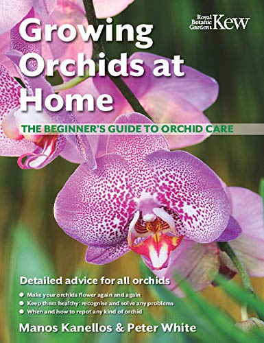 Growing Orchids at Home. The beginners guide to Orchid care.