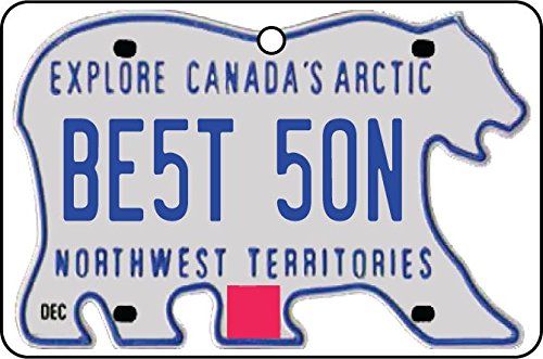 Ali Air FreshenerAli Air Freshener Northwest Territories - Best Son License Plate Car