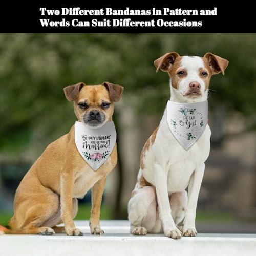 HACRAHO Hunde-Hochzeits-Bandana, 2 Stück Weiß My Humans Are Getting Married Dog Bandana She Said Yes Triangel-Hundebandana-Schal mit Blumenmuster für Hundeliebhaber-Geschenke