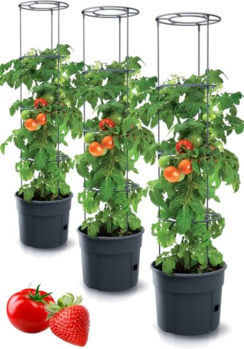 Tymar Tomatentopf, Tomatenkübel, Tomatenpflanze, Tomaten Balkon, mit Rankhilfe Rangitter, mit wasserspeicher (3 Stück, ø 30 cm)