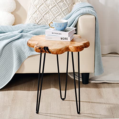 Welland 15" Live Edge Side Table, Wood Freeform Small End Table #TOP3