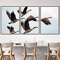 3 Piece Framed Canvas Wall Art Birds Canvas Prints Home Artwork Decoration for Living Room,Bedroom - 16
