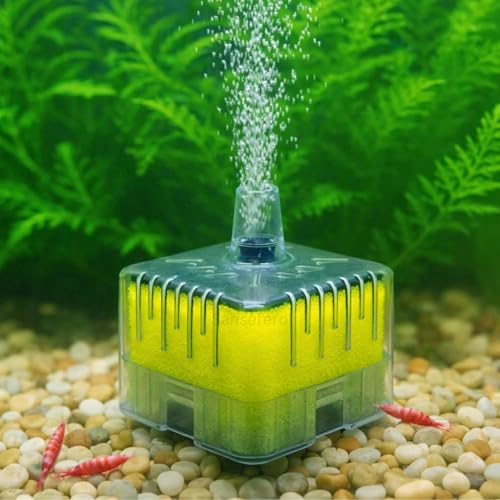 Image of SANSEFERO BL-A02 Biological Sponge Filter for Aquarium with 2mm L Tube Air-Powered Oxygen Bubble Filter Bio Sponge for Shrimp Tanks,Bowl, Fish Tank Quiet & Gentle (No Motor Added)