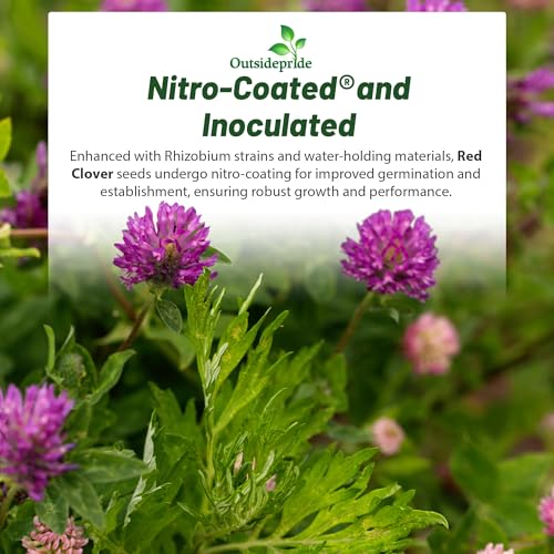 Image of Outsidepride Perennial Red Clover Seeds - 5 lbs. Self-Seeding, Nitrocoated, Inoculated for Lawn, Yard, Forage, Pasture, Hay, Nitrogen Fixation, Soil Improvement & Crop Rotation Programs