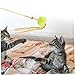 minkissy 2pcs Cat Interactive Toy Teaser Rods for Kittens Engaging Pet Unique Designs for Bonding and Encouraging