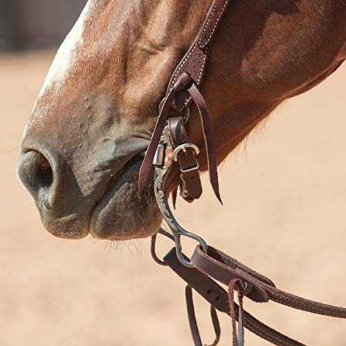 Rainbow Mutli Color Horse Bit Loose Ring Lozenge Fat Link Stainless Steel Snaffle Equestrian Tack Shows (5.5 Inch)