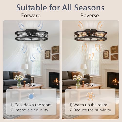 Image of VOLISUN Caged Ceiling Fan with Light and Remote,23.6 inch Fandelier Ceiling Fan with Light Flush Mount, Farmhouse Bladeless Ceiling Fans with Lights for Kitchen,Bedroom
