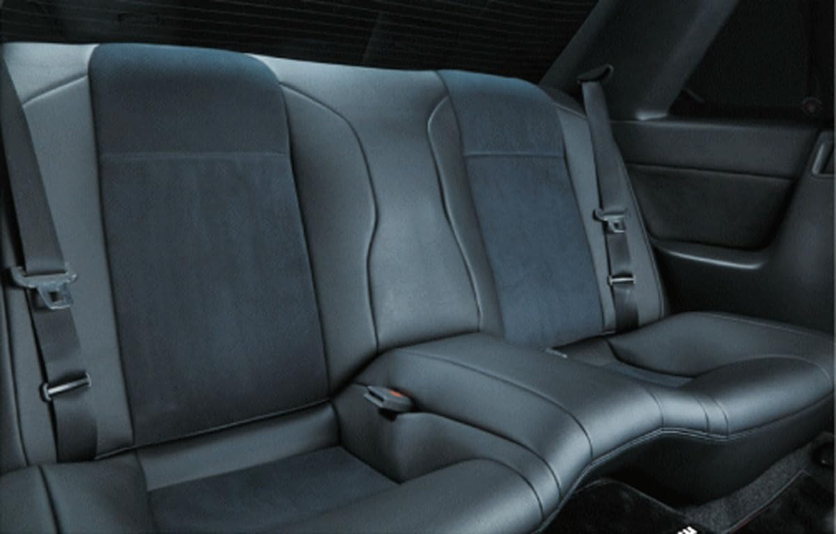 BNR32GTR用カバー（HCR32使用可能） Amazon.co.jp: R32 スカイライン GT-R バンパークリップ (アンダー