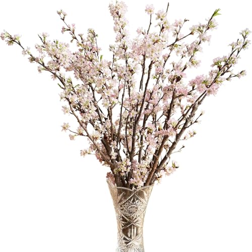 Ԃ̃Mtg [  ̉  ̉ ԑ TN ̂ ̂ 10{