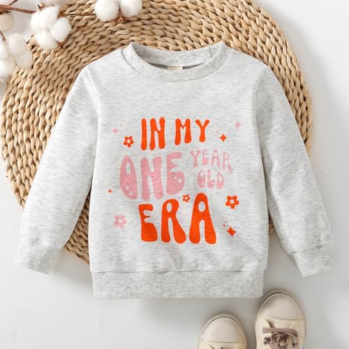Image of Toddler Baby Girl First Birthday Outfit In My One Year Old Era Sweatshirt Tops Little Princess 1st Birthday Clothes