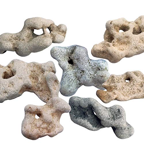 (5) Lot of Five Natural Hag Stones ~From the Mediterranean ~ Each Unique with natural hole, Healing Spiritual Hag Stone, Pendant, Holey, Magical, Adder Stone Witch Stone Fairies Stone Odin Stone