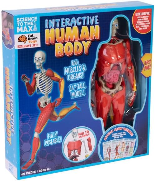 Fat Brain Toys Nuestro increíble cuerpo humano - Nuestro increíble kit de actividades científicas para el cuerpo humano y la naturaleza para edades