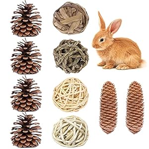 4+6 stuks verveling breker kleine dieren activiteit spelen kauwspeelgoed klein huisdier speelgoed rotan ballen hamster…