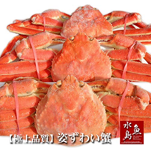  ɏi YCKjEp 500g×3tiⓀj