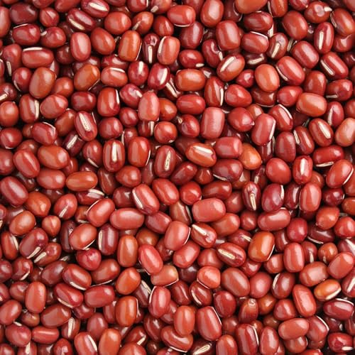 手選り選別 えりも小豆 (5kg・10kg) 北海道産 国産 風味が強く、和菓子屋さんに愛されるえりも種の小豆 (5kg)のサムネイル