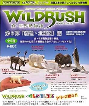 ★レアな☆海洋堂 日本の動物 第３弾前期 全24種 解説書・リスト・ ケース付き 51qz5yh44dL._UF350,350_QL50_.jpg