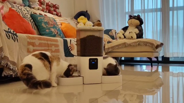 Katzenfutter Automat 5L Futterautomat Katze 2 Näpf Produktbild-Vorschau 8