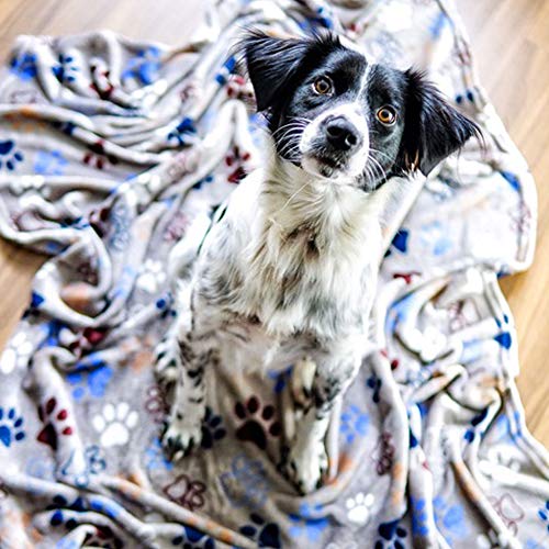 Nobby 60882 Hundedecke Classic Lissi hellgrau L x B: 100 x 150 cm, L, hellgrau