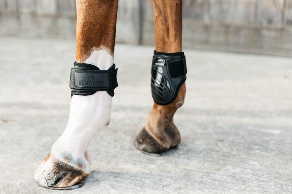 Protector de los Cascos para Caballos jóvenes Kentucky