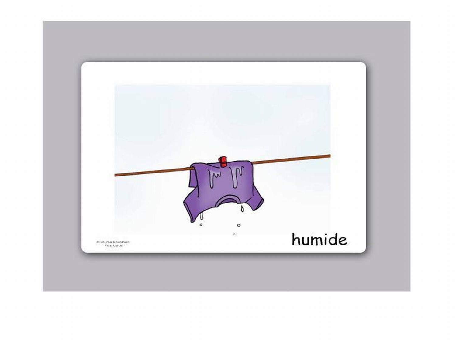 French Adjectives Flashcards With Bingo Game - 20 Cards For Language Learning