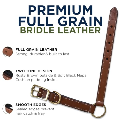 Image of Genuine Leather Adventure Dog Collar, Large, Soft Padding | Center O Ring, Brass Buckle, Medium, D Ring, Heavy Duty, Hand Tooled, Soft Nappa Padding, Fit Neck Size 18.5 inch-22.5 inch
