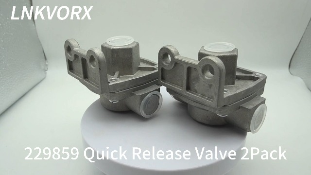 Amazon.com: 229859 Quick Release Valve 2Pack - Compatible with